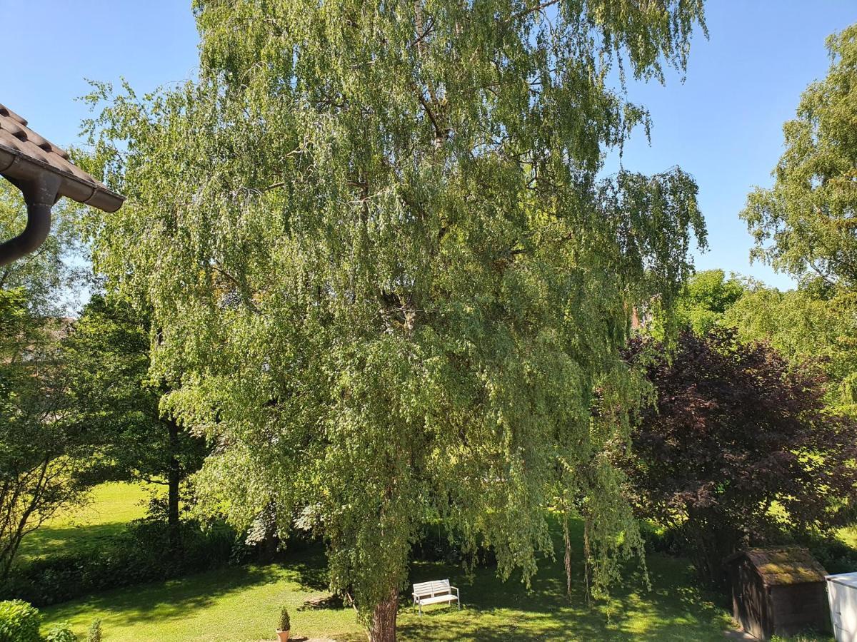 Schoenenberger Hof Orsingen-Nenzingen Kültér fotó